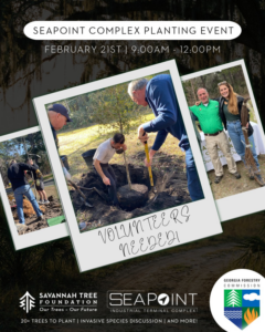Volunteers planting a new tree at the Seapoint Complex event organized by Savannah Tree Foundation in Savannah, GA
