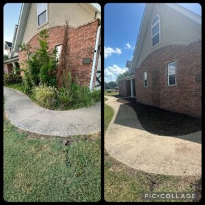 Before and after photos of a home's walkway with improved landscaping, completed by HomeFront Services LLC in Fayetteville, AR