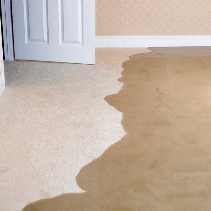 Significant water damage on a carpeted floor, indicating a need for restoration by Paul Davis Restoration of Charlotte, NC.
