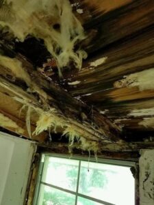 Severe water damage and mold on a ceiling, indicating remediation work by Environmental & Hazmat Services in Ashford, AL.