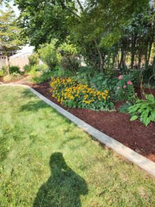 A beautifully maintained flower bed with fresh mulch and vibrant yellow flowers, showcasing work by Battleship Property Maintenance in Lewiston, ID.