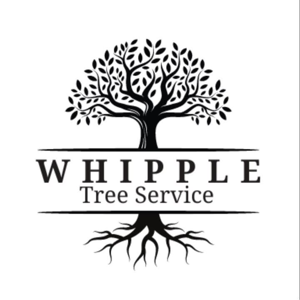 Whipple Tree Service