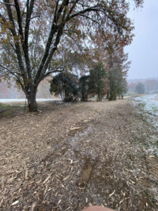 Winter forestry mulching job completed by Noble Landworks, showing cleared land with wood chips and light snow in Georgetown, KY.