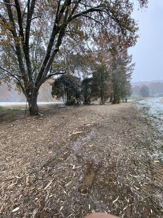 Winter forestry mulching job completed by Noble Landworks, showing cleared land with wood chips and light snow in Georgetown, KY.