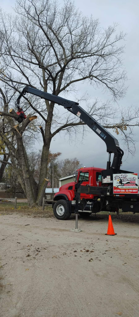 Broken Branch Tree Removal performing winter tree removal with a crane in Broadalbin, NY.