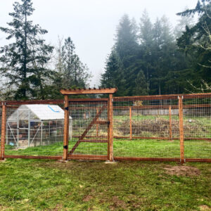 A wire mesh garden fence with wooden posts and a gate, installed around a greenhouse by J & M Fence Co. in Vancouver, WA.