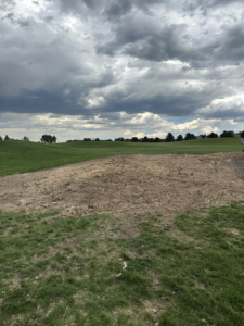 A large area covered in fresh wood chips after tree removal and cleanup by Detail Tree works & landscaping in Denver, CO.