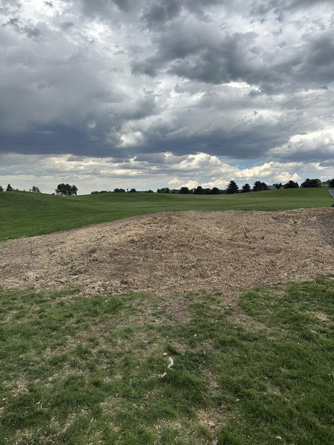 A large area covered in fresh wood chips after tree removal and cleanup by Detail Tree works & landscaping in Denver, CO.