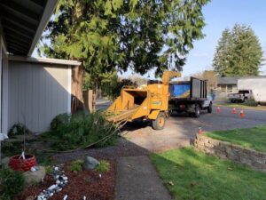 A wood chipper processing branches into a dump truck, showing efficient debris removal by The Honest Arborist in Everett, WA.