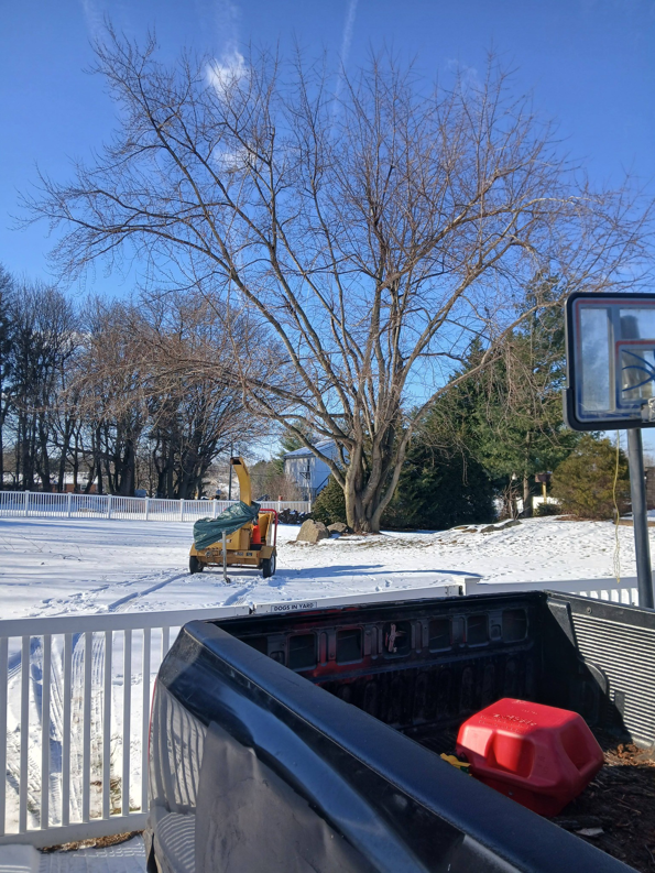 A wood chipper and a pickup truck at a tree service job site for RJ Robinson Family Tree Service LLC in York, PA