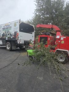 A wood chipper and tree service truck from S.A. Total Tree Service processing branches in San Antonio, TX