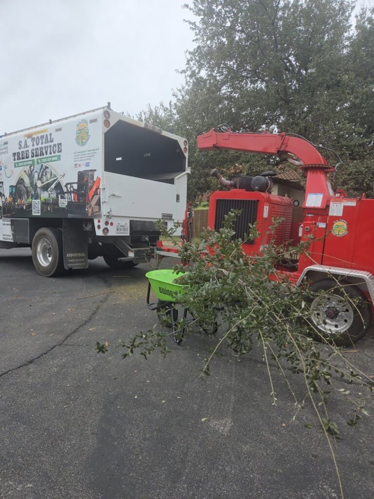 A wood chipper and tree service truck from S.A. Total Tree Service processing branches in San Antonio, TX