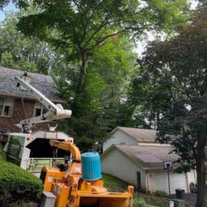 A wood chipper and a bucket truck on site for tree trimming and debris removal by Absolute Tree, Inc. in Alexandria, VA.