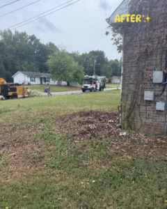 Wood chipper and cleanup crew after tree service by Cumberland Tree Service, LLC in Clarksville, TN, showing a cleared area.