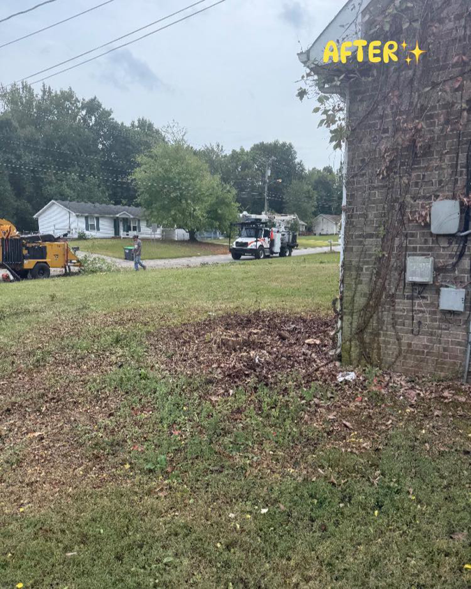 Wood chipper and cleanup crew after tree service by Cumberland Tree Service, LLC in Clarksville, TN, showing a cleared area.
