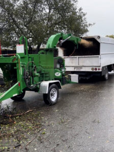 A green wood chipper machine actively processing tree branches into a truck for debris removal by Nexus Tree Solution's in Sacramento, CA