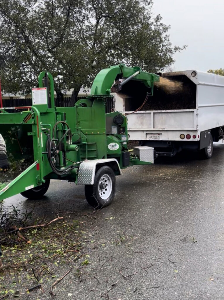 A green wood chipper machine actively processing tree branches into a truck for debris removal by Nexus Tree Solution's in Sacramento, CA