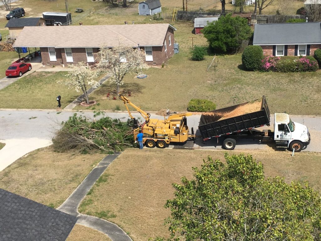 An aerial view of a wood chipper and dump truck in operation, with a worker feeding branches for cleanup by State Tree Services, Inc in Sumter, SC.