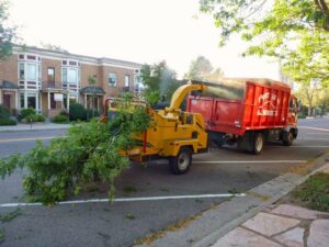 A wood chipper feeding tree branches into a dump truck, part of tree service cleanup by Front Range Arborists in Colorado Springs, CO.