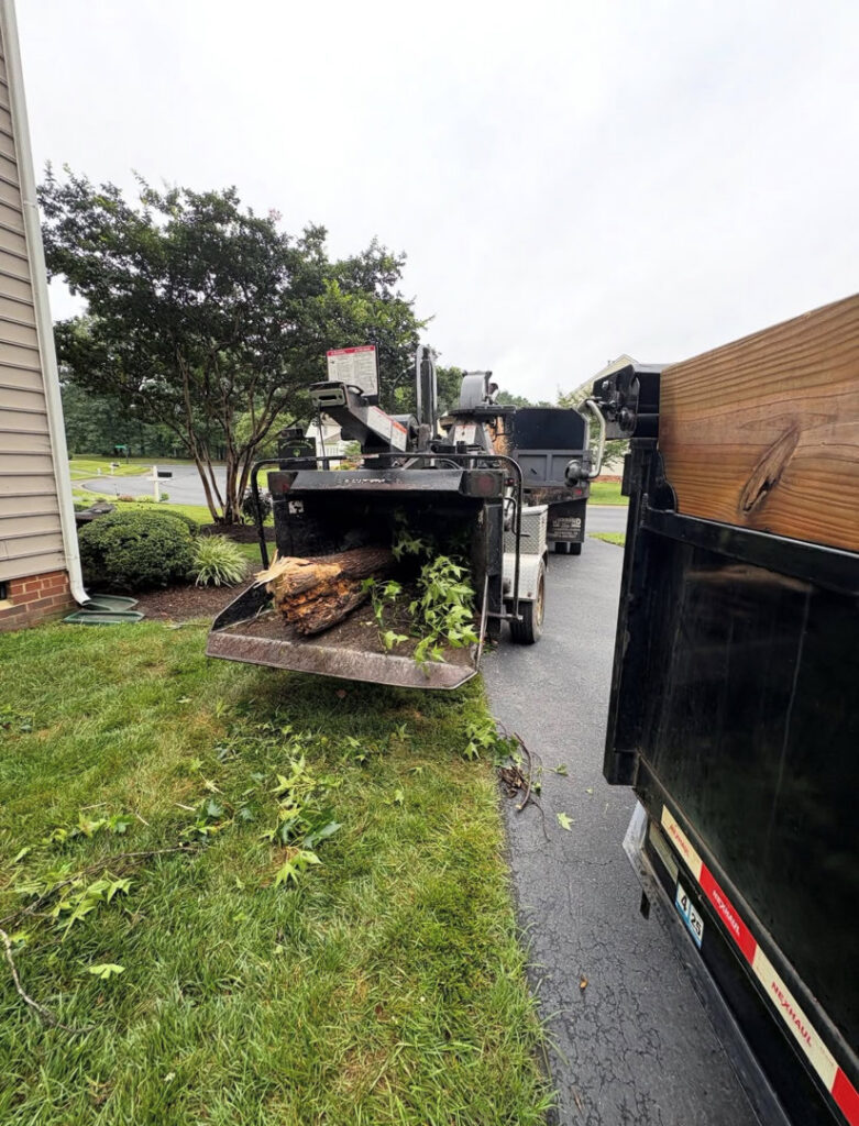 A wood chipper feeding tree branches and debris into a dump truck for removal by Ernesto tree service & landscaping LLC in Richmond, VA.