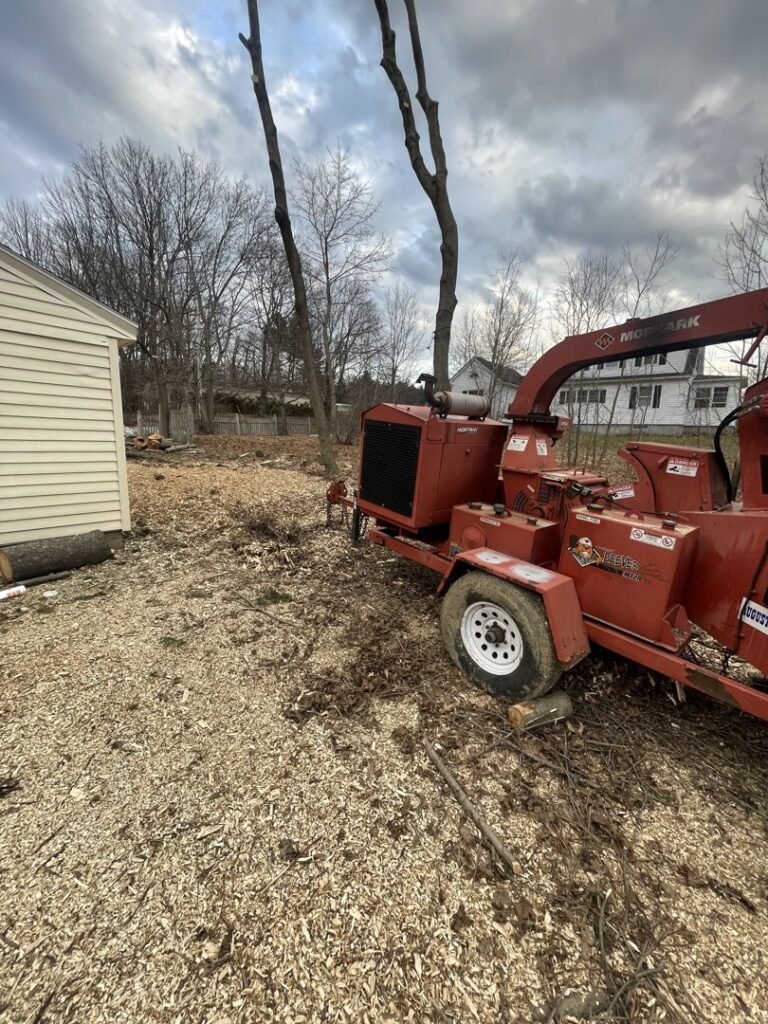 A wood chipper in a yard with wood chips and partially removed trees, showcasing tree removal and chipping services by Russell Tree Works & Firewood Sales in Augusta, ME.