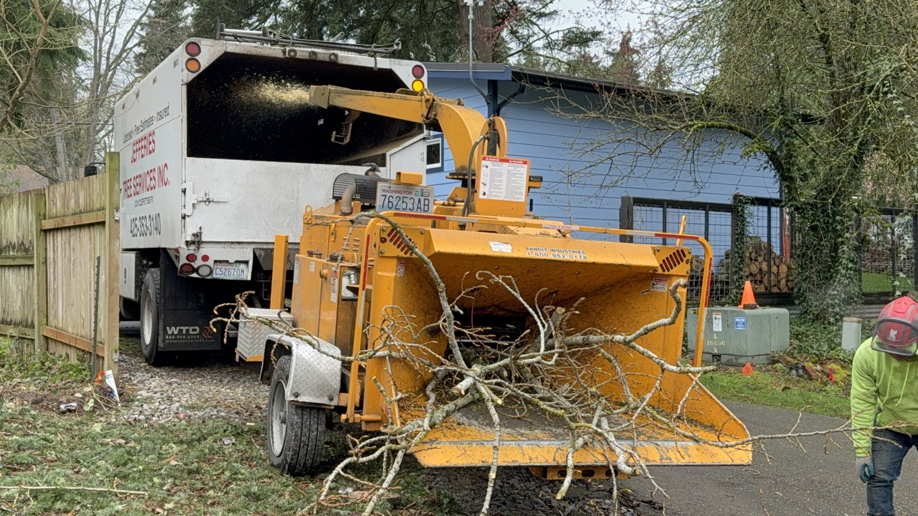 A wood chipper processing branches with a tree service truck in the background, performed by Robert Jefferies Logging & Tree Service in Everett, WA