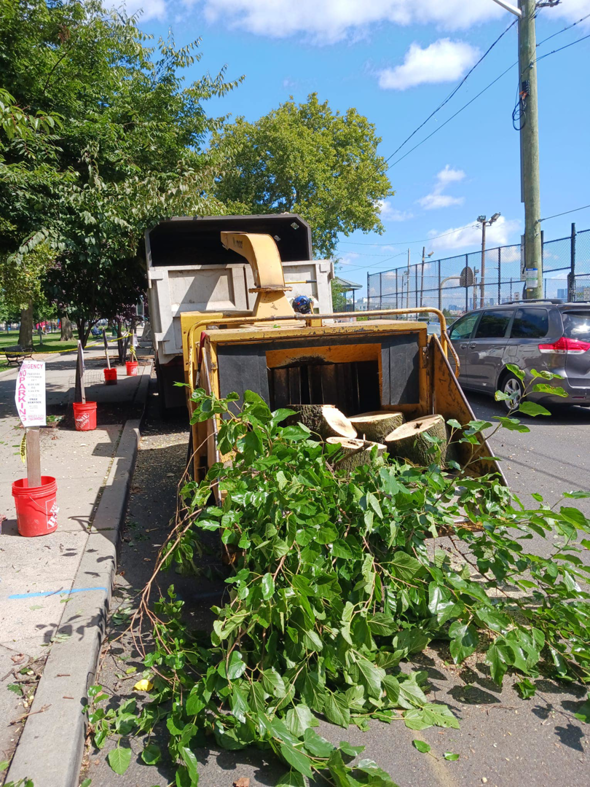 A wood chipper processing tree branches and logs on the roadside for Riverview Community Garden in Jersey City, NJ.