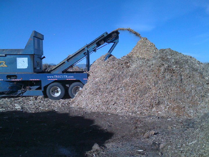 A wood chipper actively producing a large pile of wood chips for Aesthetic Tree Service in Denver, CO.