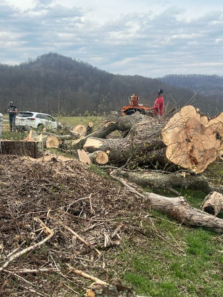 A wood chipper processing tree debris after a service by Juarez Tree Service in Bawcomville, LA.