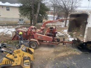 A wood chipper processing tree debris into a truck for Green Woods Sawmill & Tree service in Bowie, MD.
