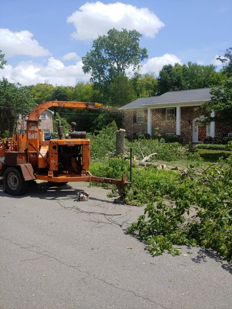 A wood chipper processing tree debris after a tree removal job by Ole' Smokey's Tree Service in Knoxville, TN.
