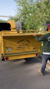 A worker from Tempe Tree Service Pros feeding tree branches into a wood chipper for debris removal in Tempe, AZ