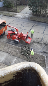 Tree service workers feeding branches into a wood chipper for debris removal by Stick Chasers Tree Service in Racine, WI.