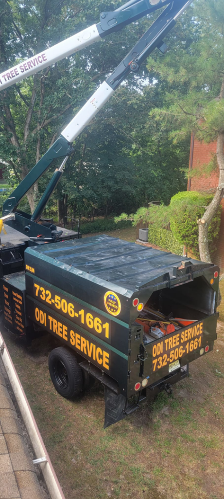 A wood chipper truck with Odi Tree Service and Landscaping LLC branding, used for tree removal and cleanup in Lakewood, NJ.