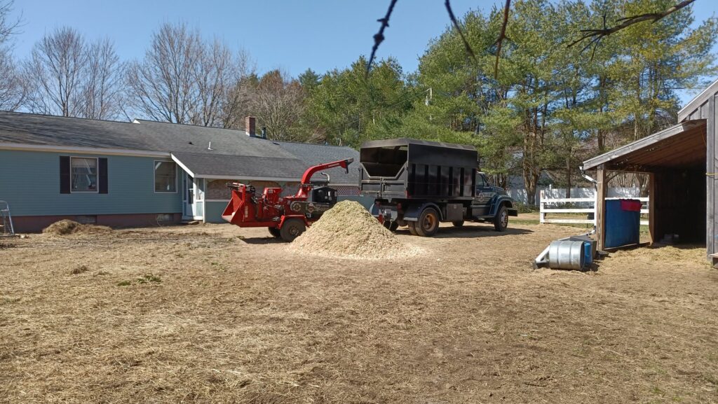 A wood chipper, dump truck, and a pile of wood chips after a tree service job by Maine Tree Guy LLC in Auburn, ME.