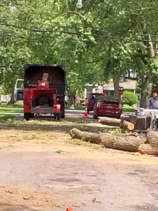 A wood chipper processing logs at a tree service job site by Good Ol' Boys Tree Service in Lebanon, CT.