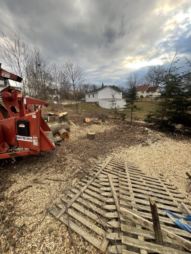 A large wood chipper in a yard covered with wood chips, cut logs, and tree stumps, showcasing tree removal and chipping services by Russell Tree Works & Firewood Sales in Augusta, ME.