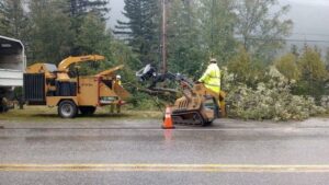 Tree service workers feeding branches into a wood chipper with a mini skid steer, providing debris removal by Carlos Tree Service in Juneau, AK.