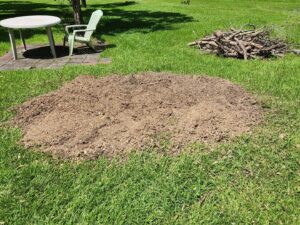 A pile of wood chips and cut branches on a green lawn, showing the aftermath of tree removal by Ayla Tree Service in Bloomingdale, GA.