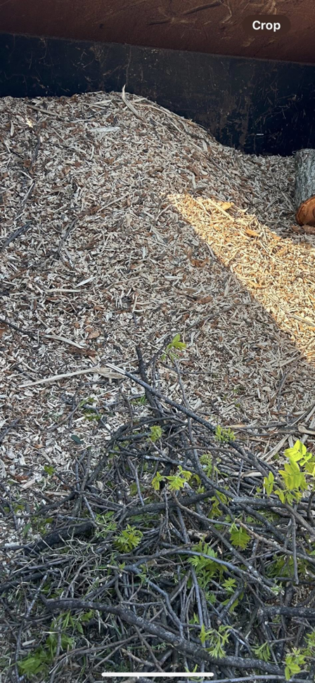 A pile of wood chips and green brush, ready for disposal after tree services by Arbor Management Services in Shreveport, LA.