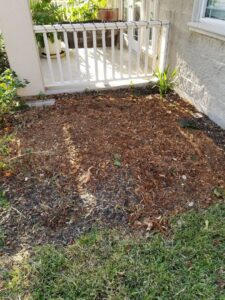 An area covered in wood chips and debris after a tree service job by C & N Tree Service in Corpus Christi, TX.