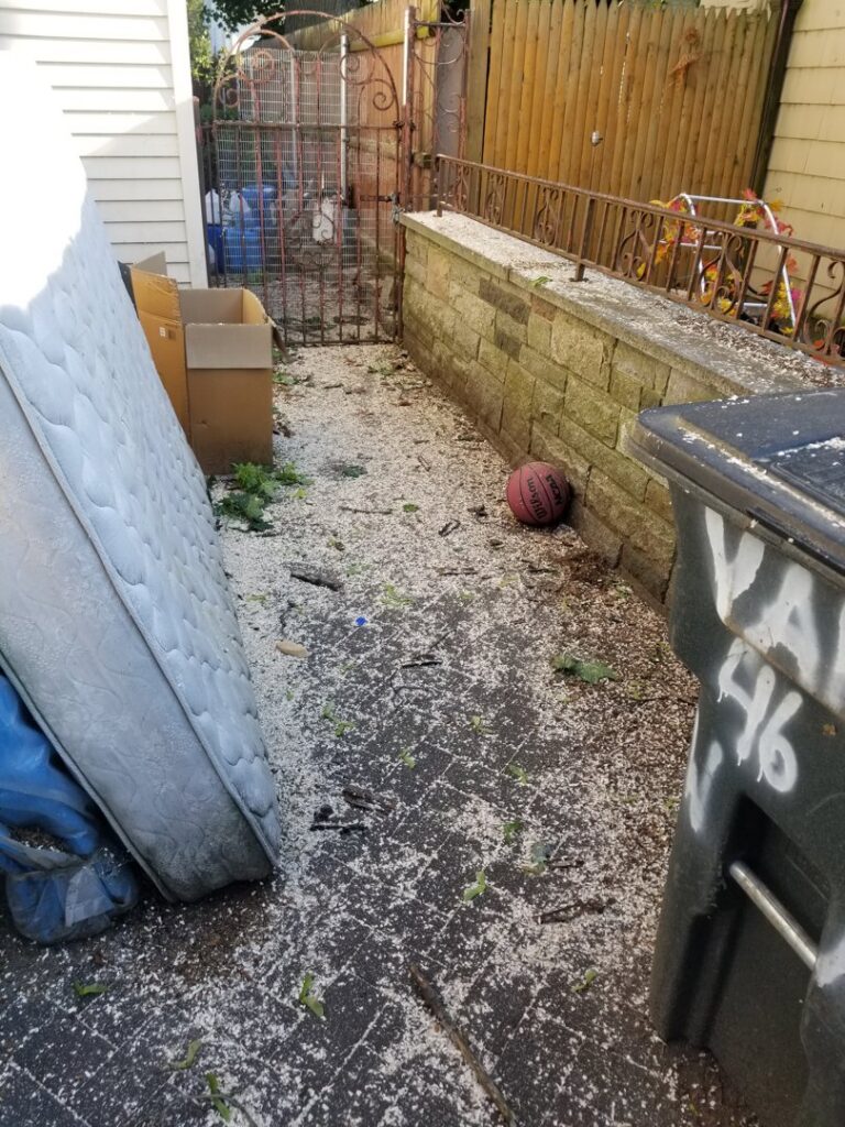 Wood chips and tree debris on the ground after a tree service job completed by Mike's Professional Tree Service in Coventry, RI.