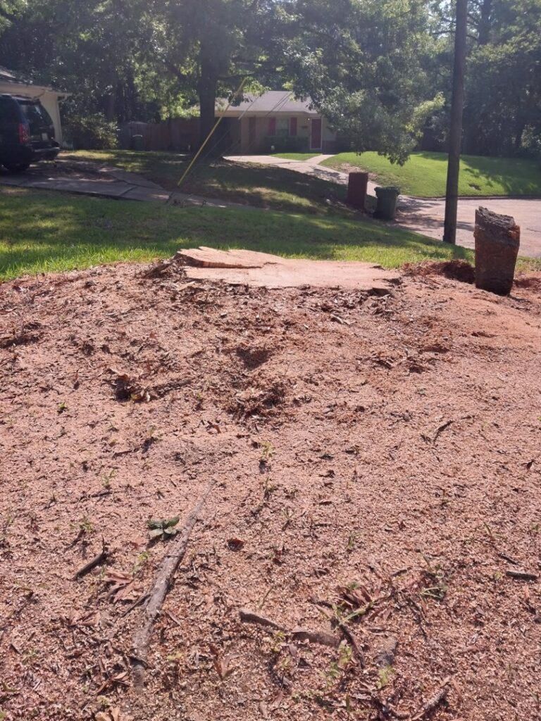 A large area covered in wood chips from stump grinding, showing cleanup after tree removal by Jacinto's Tree Services in Montgomery, AL.