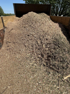 A large pile of fresh wood chips in a truck bed from tree service work by Arbor Management Services in Shreveport, LA.