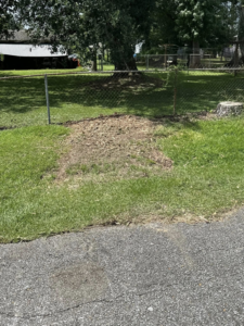 A pile of wood chips on the grass, indicating recent stump grinding work by LeBlanc's Tree Service in Baton Rouge, LA.