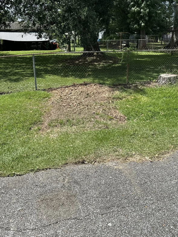A pile of wood chips on the grass, indicating recent stump grinding work by LeBlanc's Tree Service in Baton Rouge, LA.