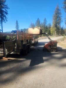 A mini skid steer loading wood debris and branches into a trailer during a cleanup by Loughnan Logging-Tree Service in Spokane Valley, WA.