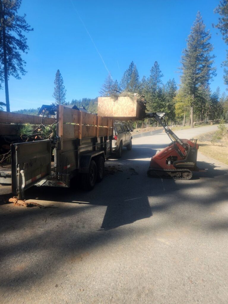 A mini skid steer loading wood debris and branches into a trailer during a cleanup by Loughnan Logging-Tree Service in Spokane Valley, WA.