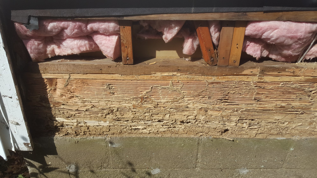 Severe wood rot damage on an exterior wall, indicating a necessary repair by DiBenedetto Building & Remodeling in Worcester, MA.