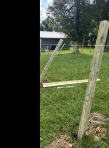 New wooden fence posts being installed in a grassy yard by Verkler Development LLC in Lake Charles, LA.